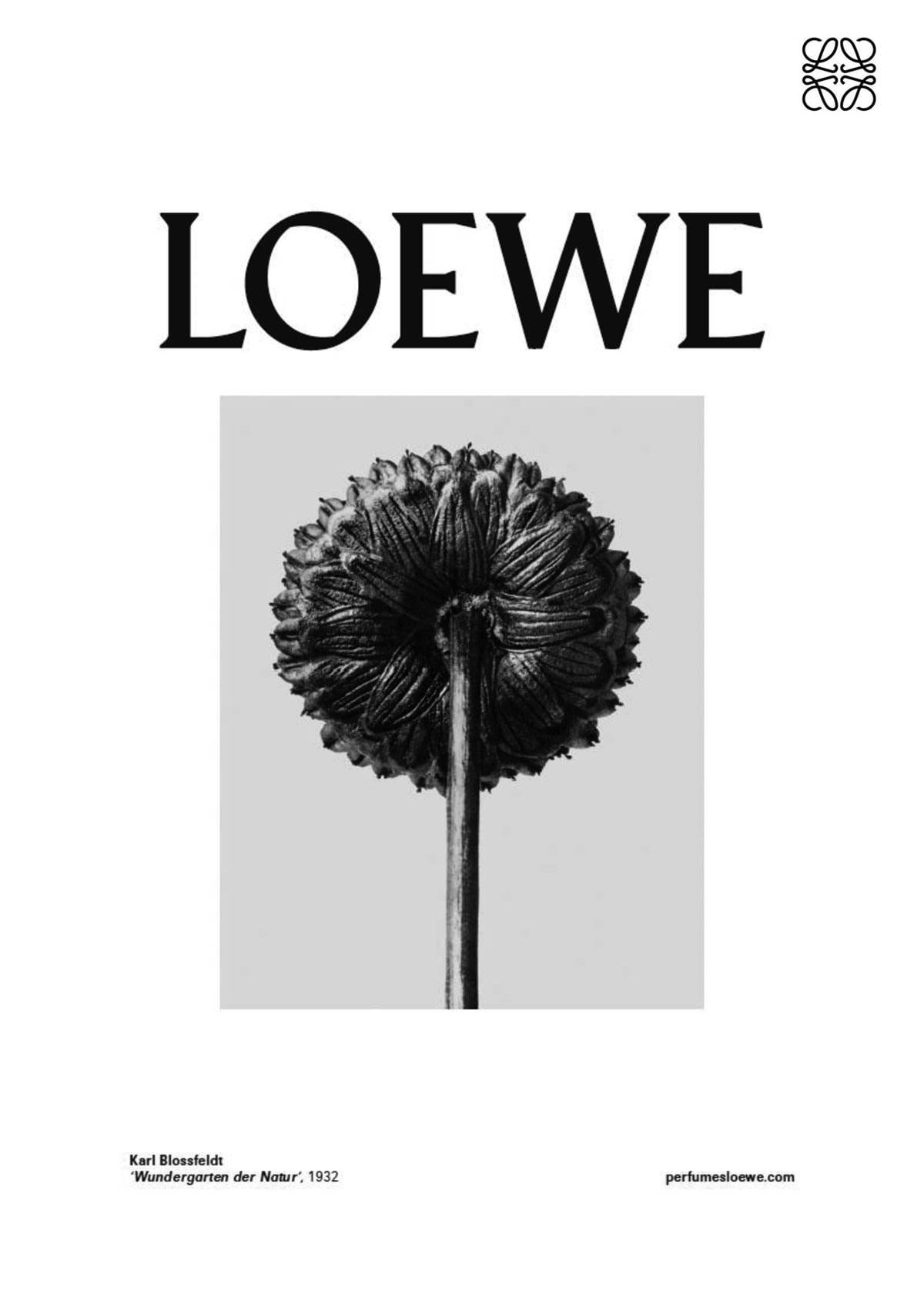 Loewe rinde homenaje en el Thyssen al naturalismo de Karl