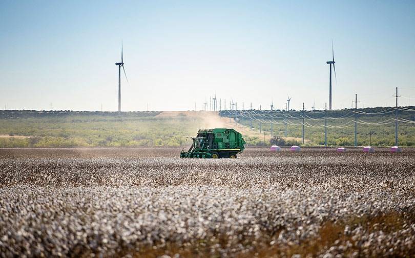 Innovaciones vaqueras: cómo las marcas están limpiando la industria