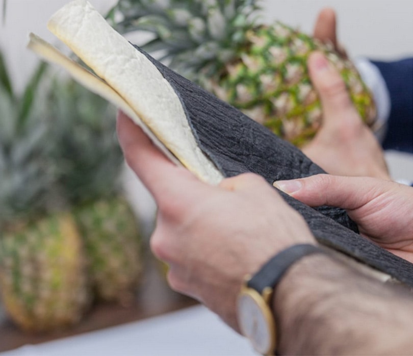 Tejidos Innovadores Sostenibles: Piñatex, la alternativa vegana al cuero Tejidos Innovadores Sostenibles: Piñatex, la alternativa vegana al cuero