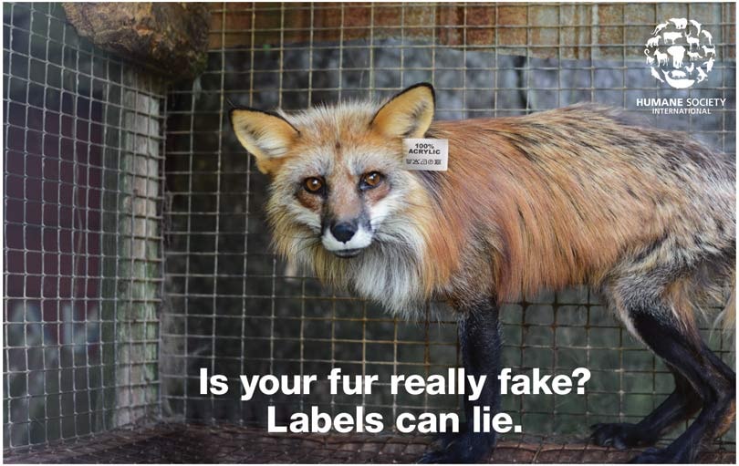 #WhatTheFur Crea conciencia sobre pieles con falsa etiqueta #WhatTheFur Crea conciencia sobre pieles con falsa etiqueta