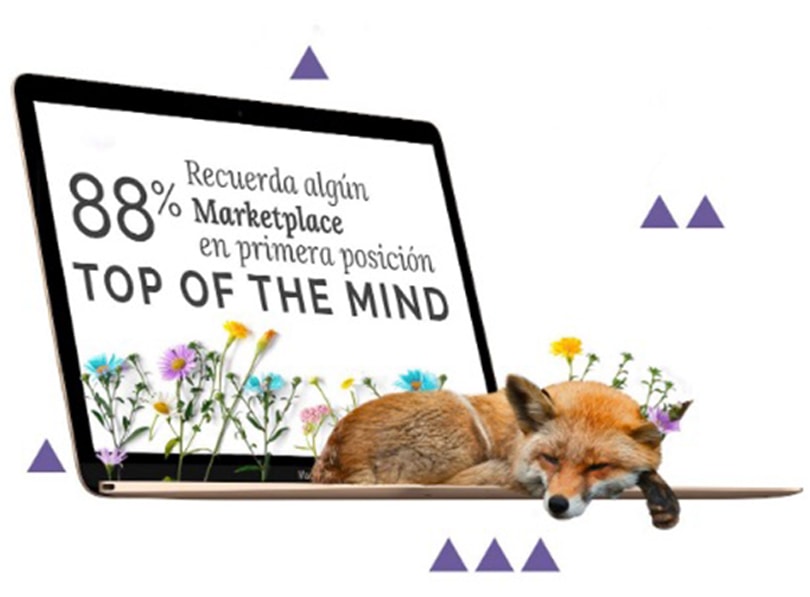 Amazon representa el 7,5 por ciento de las ventas online en España Amazon representa el 7,5 por ciento de las ventas online en España