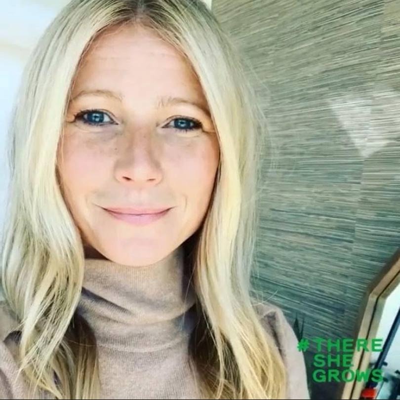 Stella McCartney lanza un nuevo “reto” en Instagram contra la deforestación en Indonesia Stella McCartney lanza un nuevo “reto” en Instagram contra la deforestación en Indonesia