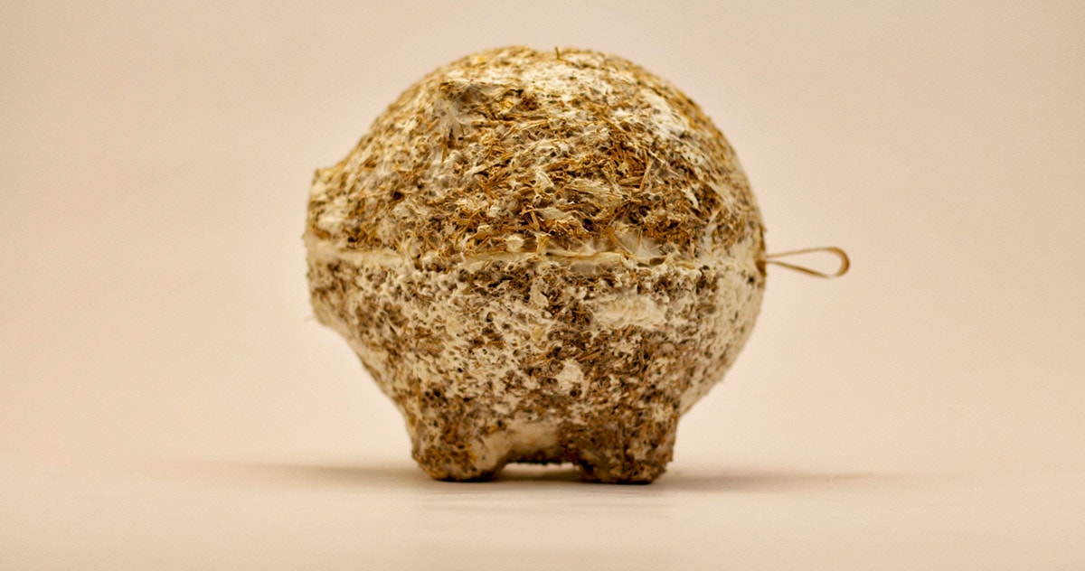 El argentino que usa la yerba mate para fabricar productos de moda El argentino que usa la yerba mate para fabricar productos de moda