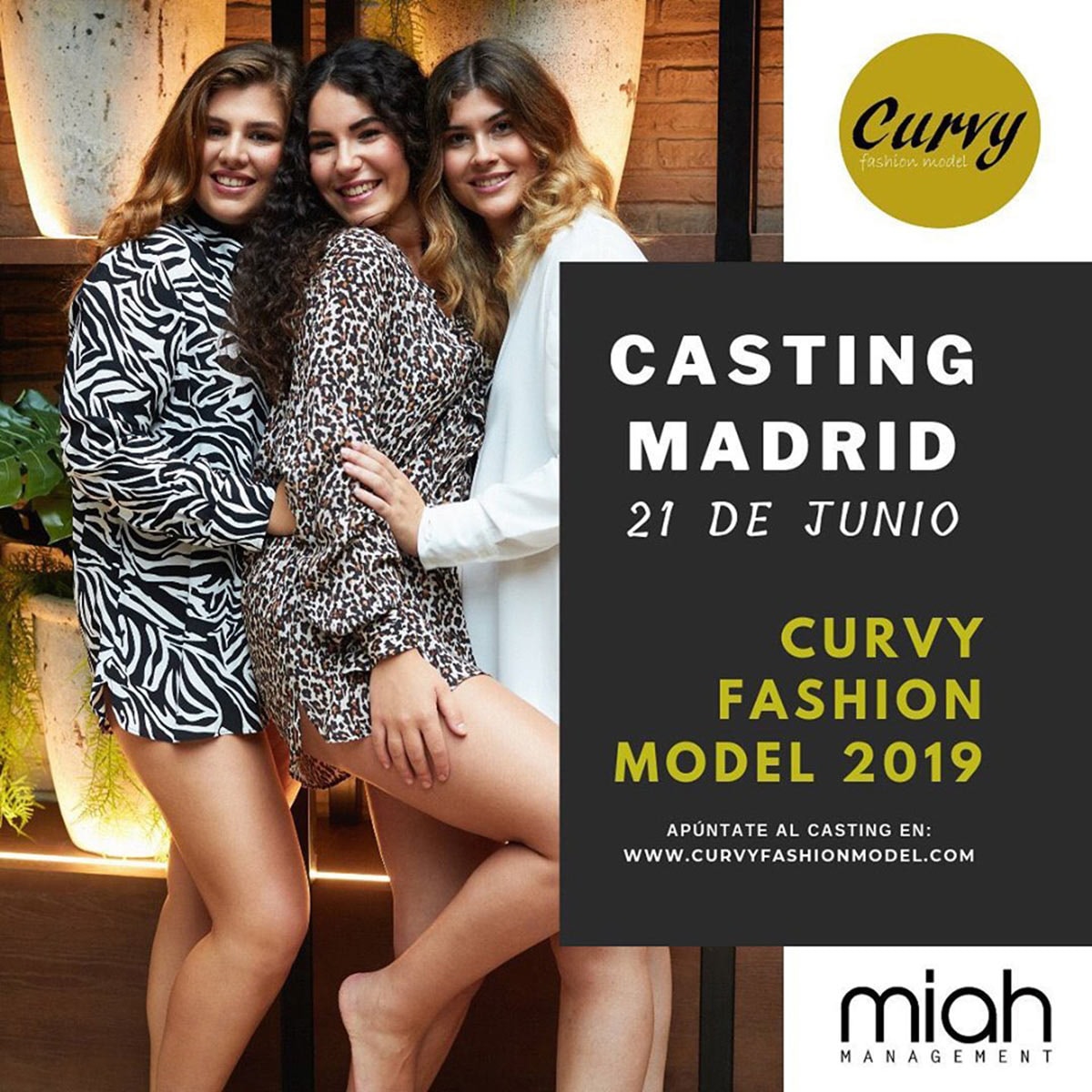Se buscan nuevas modelos de moda Curvy Se buscan nuevas modelos de moda Curvy
