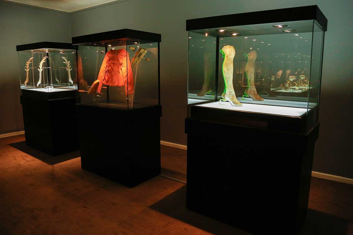 En imágenes: Inauguran la muestra Why-What-Who En imágenes: Inauguran la muestra Why-What-Who